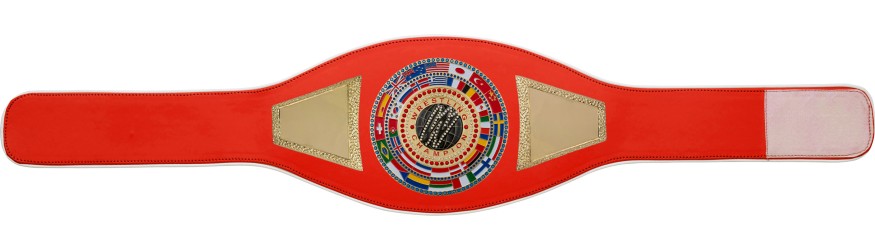 WRESTLING CHAMPIONSHIP BELT PROFLAG2/FLAG/G/WRESTGEM - VARIETY OF LEATHER COLOURS AVAILABLE WRESTLING CHAMPIONSHIP BELT PROFLAG2/FLAG/G/WRESTGEM - VARIETY OF LEATHER COLOURS AVAILABLE